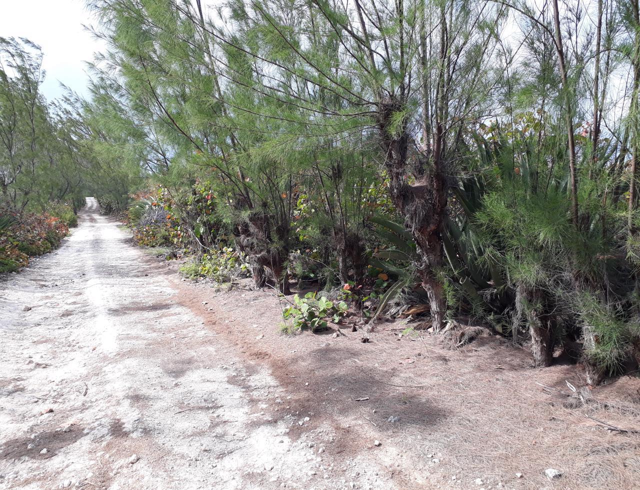 Eleuthera Vacant Lot