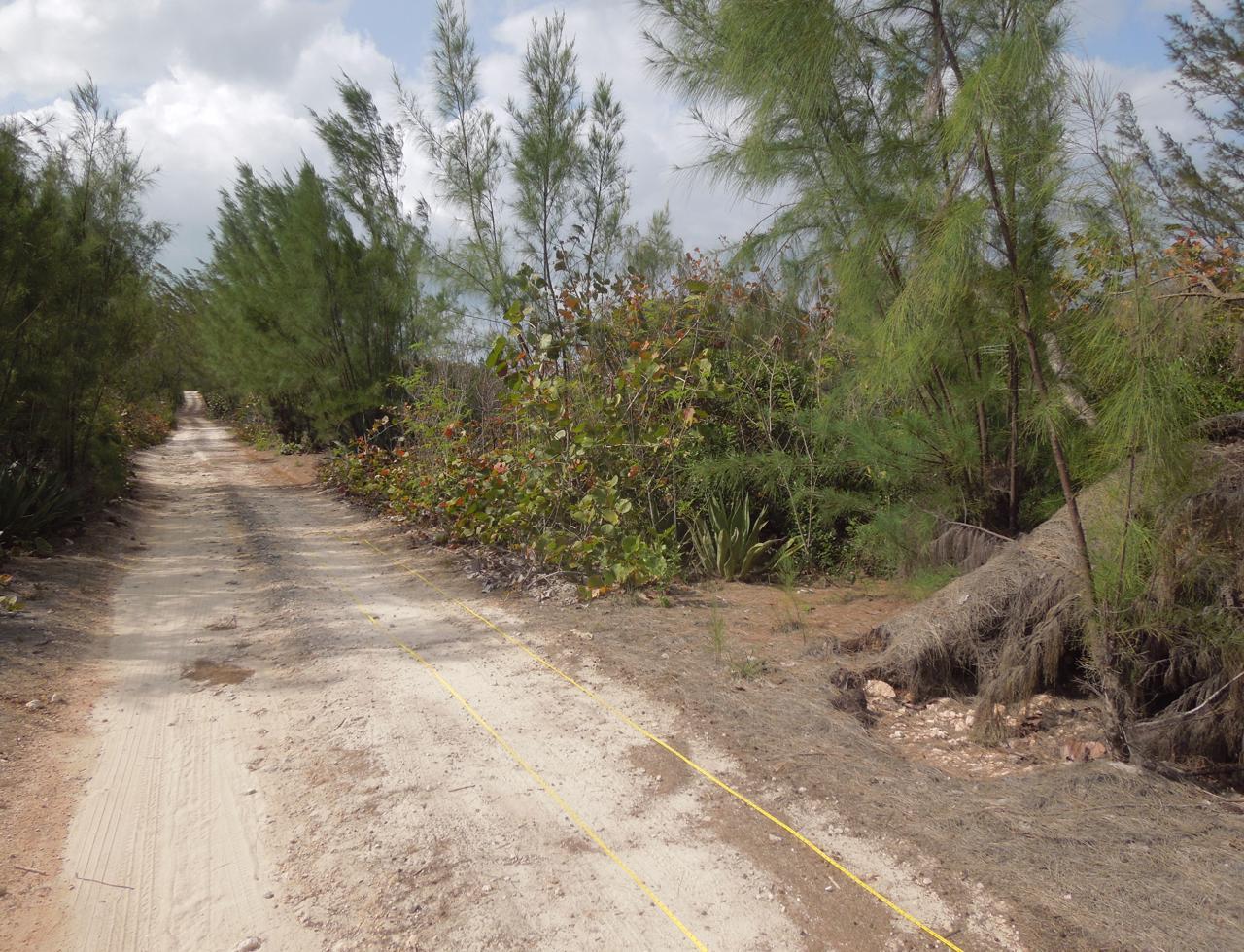 Eleuthera Vacant Lot