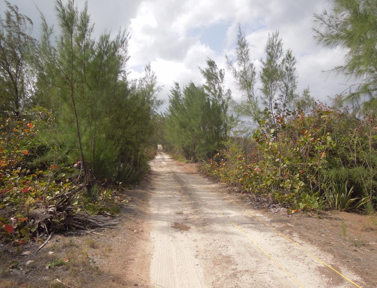 Eleuthera Vacant Lot