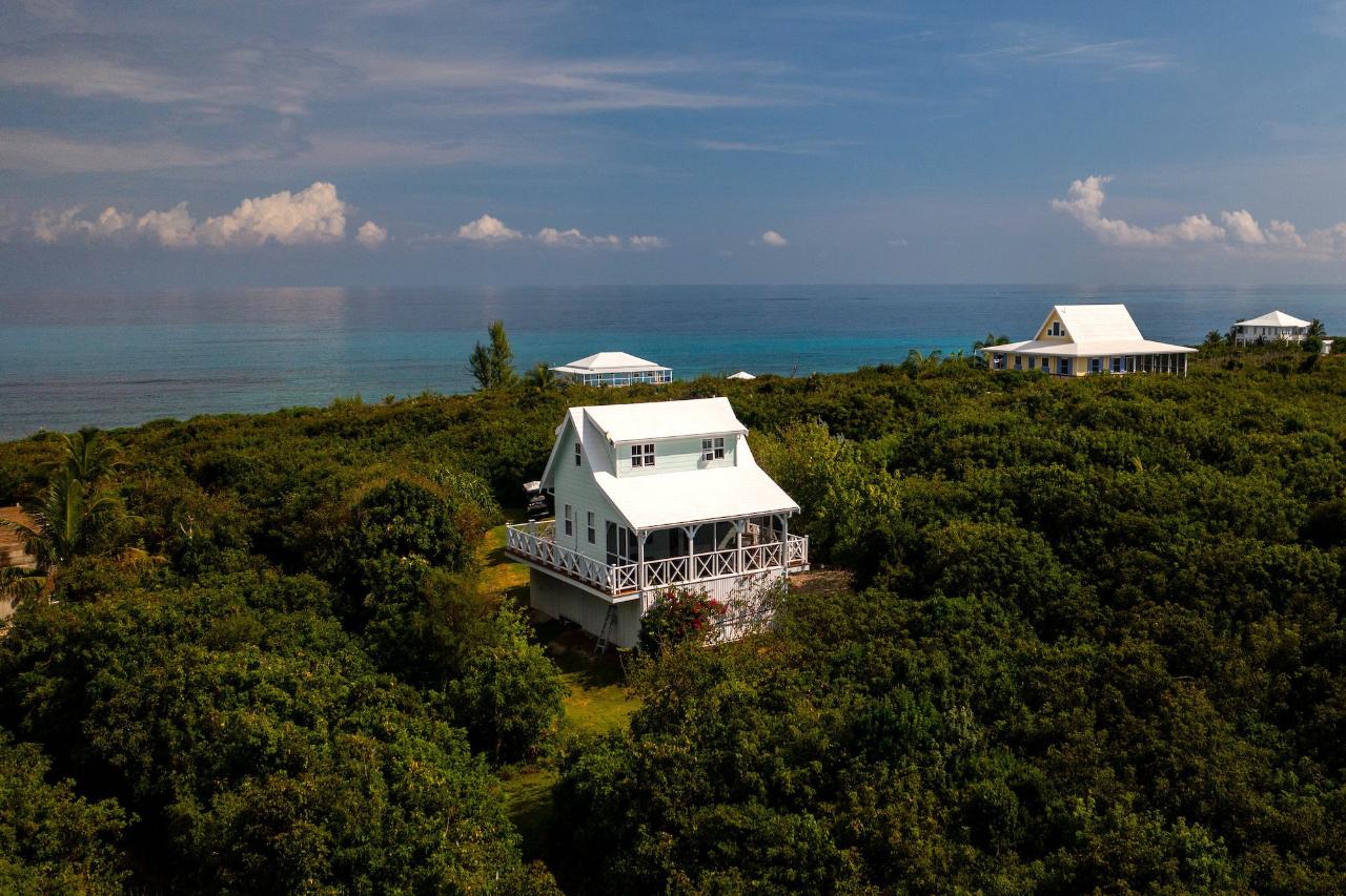 GUMBO LIMBO