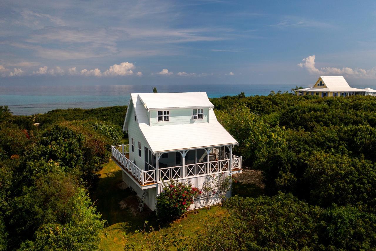 GUMBO LIMBO