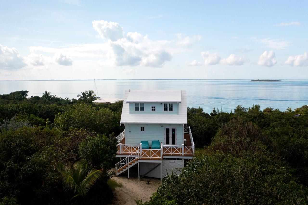 GUMBO LIMBO