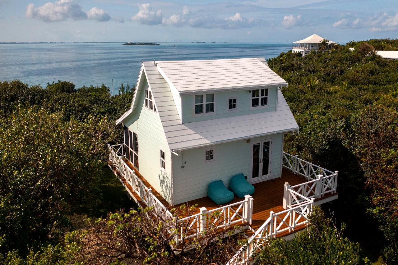 GUMBO LIMBO