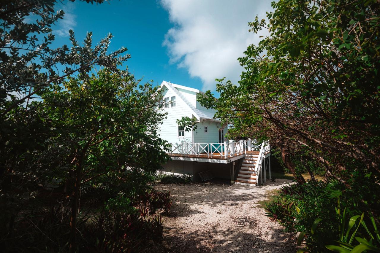 GUMBO LIMBO