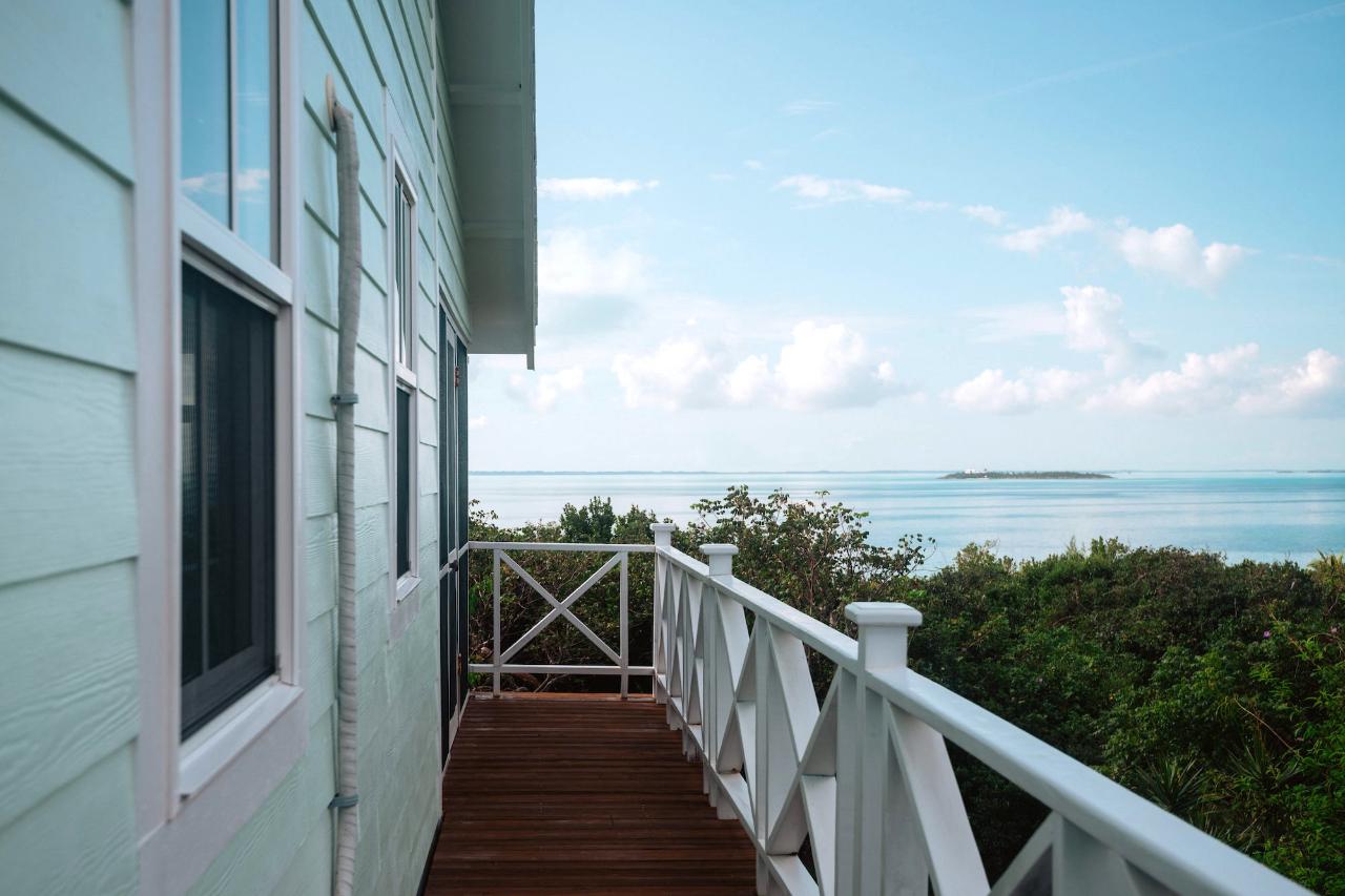 GUMBO LIMBO