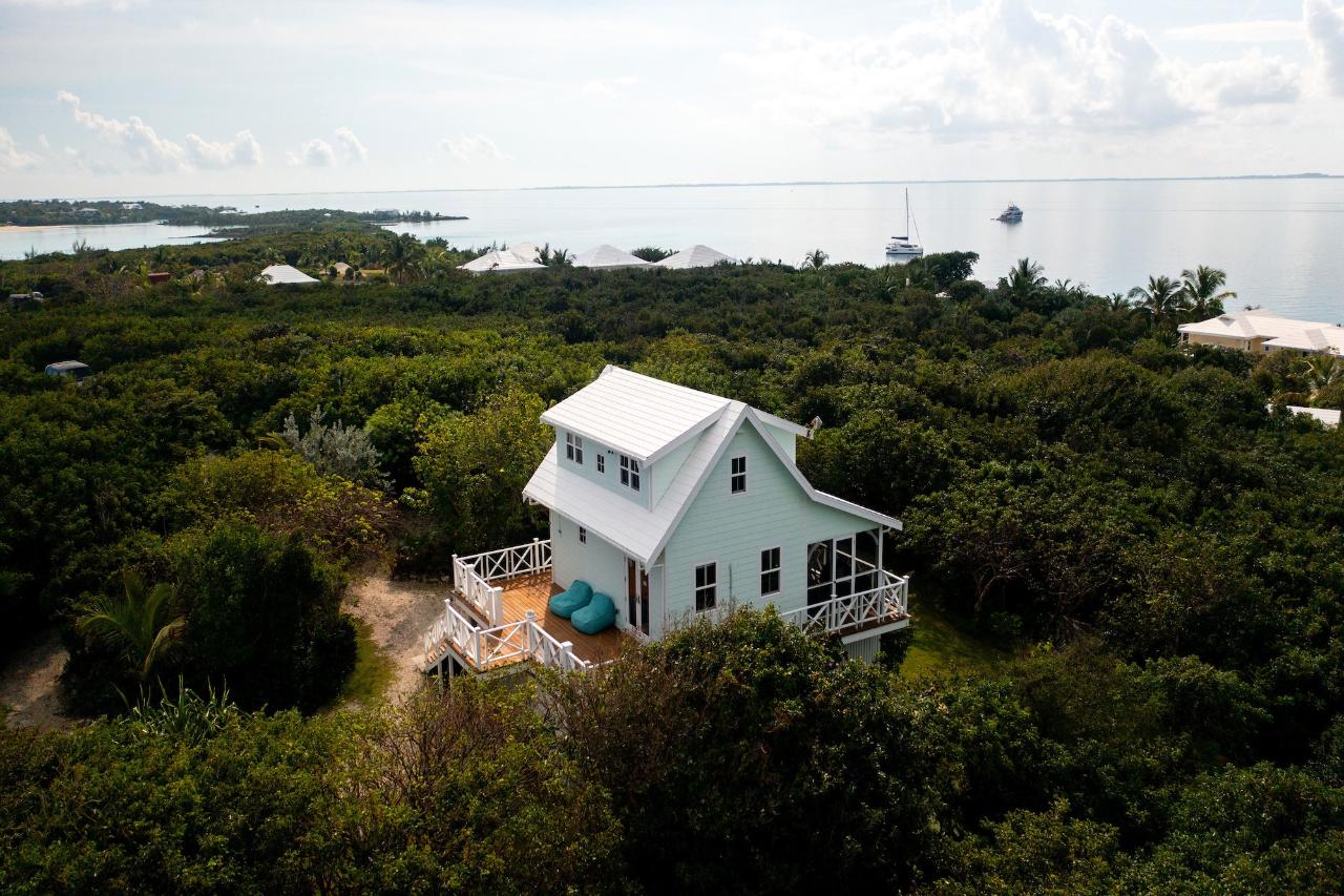 GUMBO LIMBO