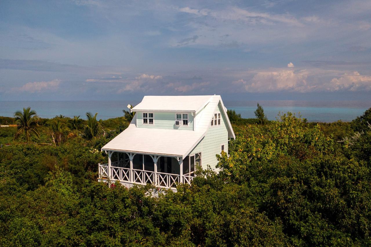 GUMBO LIMBO