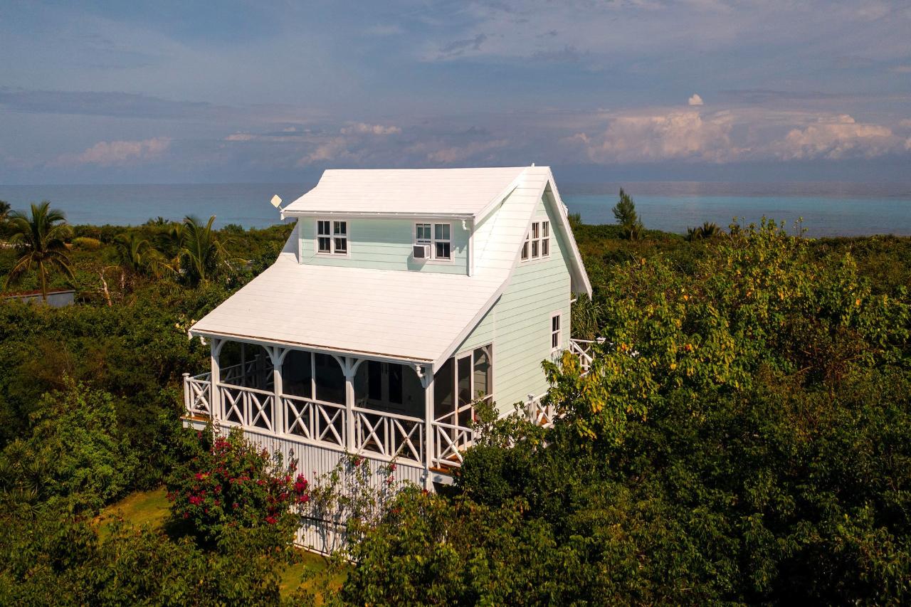 GUMBO LIMBO