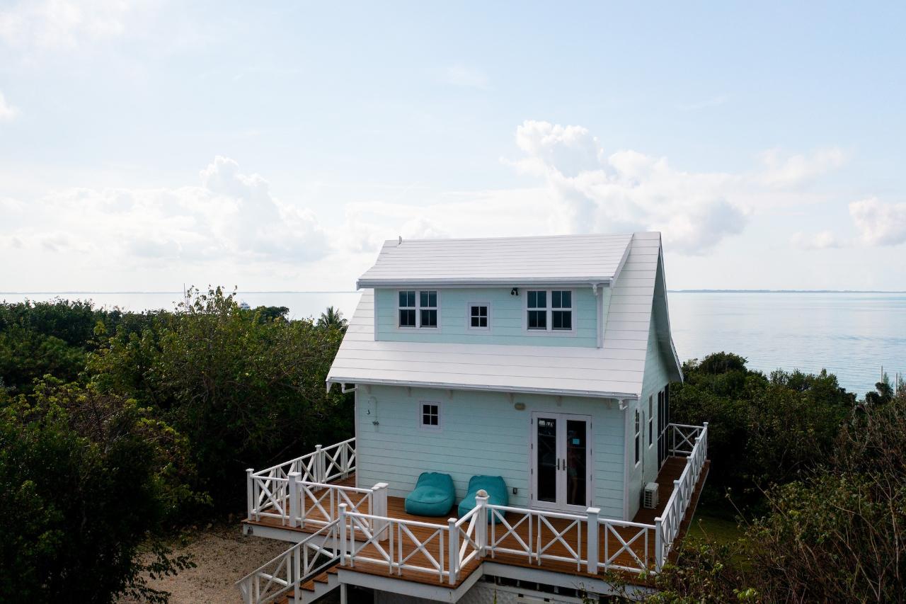 GUMBO LIMBO