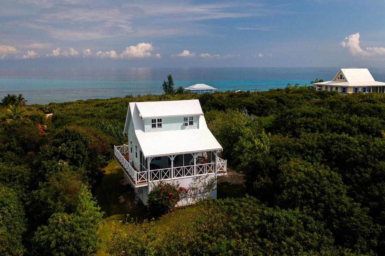 GUMBO LIMBO