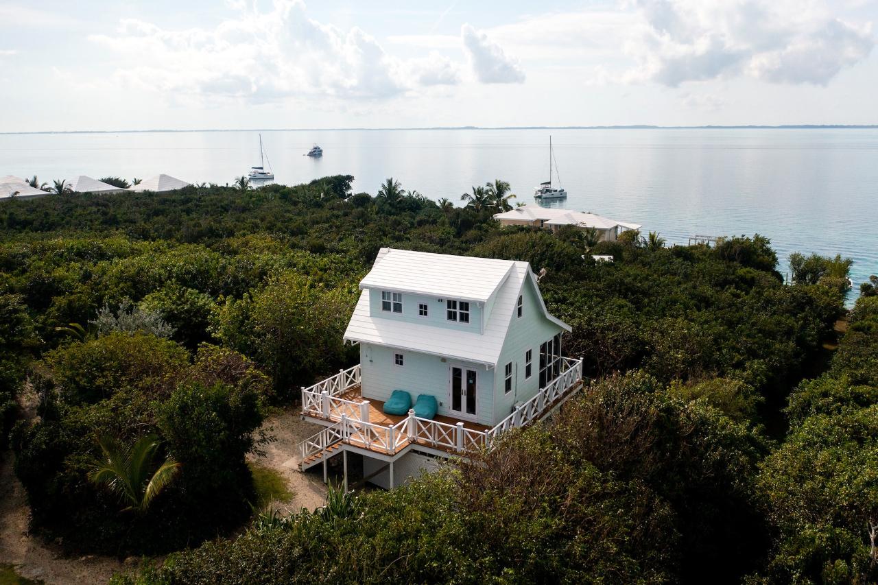 GUMBO LIMBO