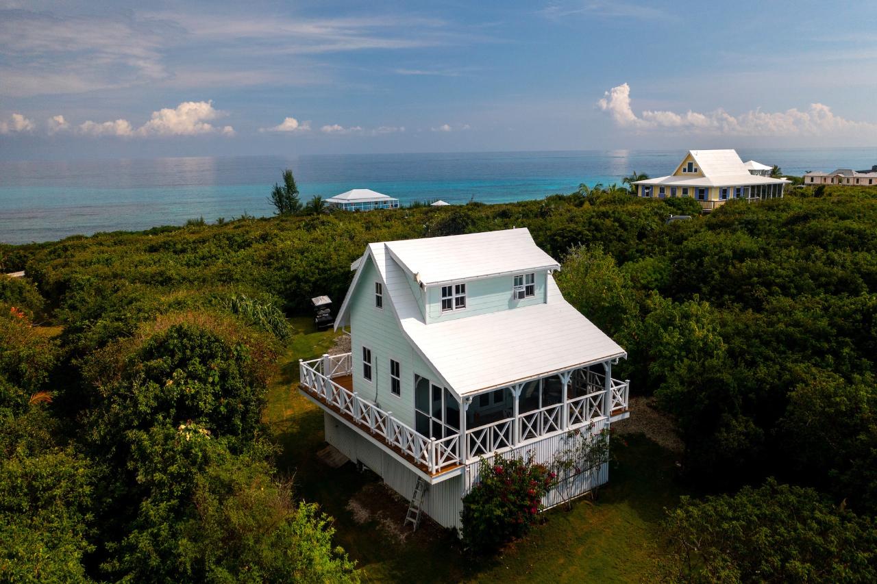 GUMBO LIMBO