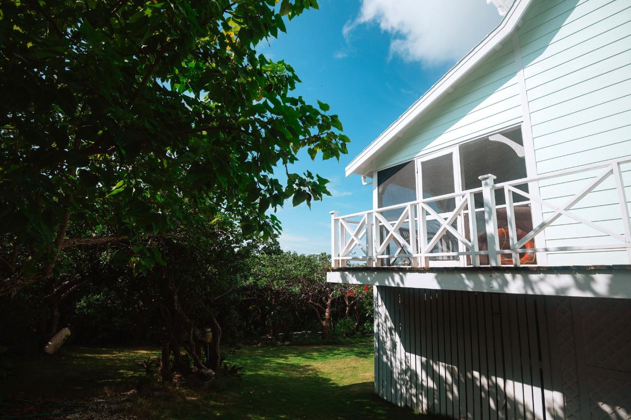 GUMBO LIMBO