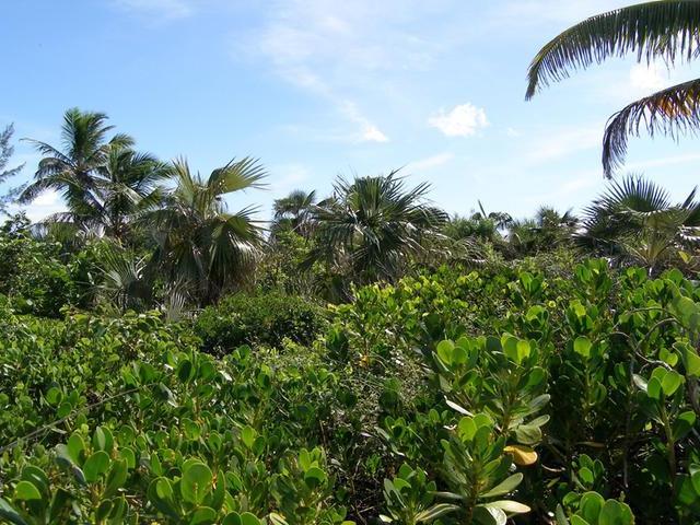 BANK’S ROAD BEACHFRONT