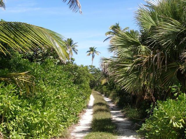 BANK’S ROAD BEACHFRONT