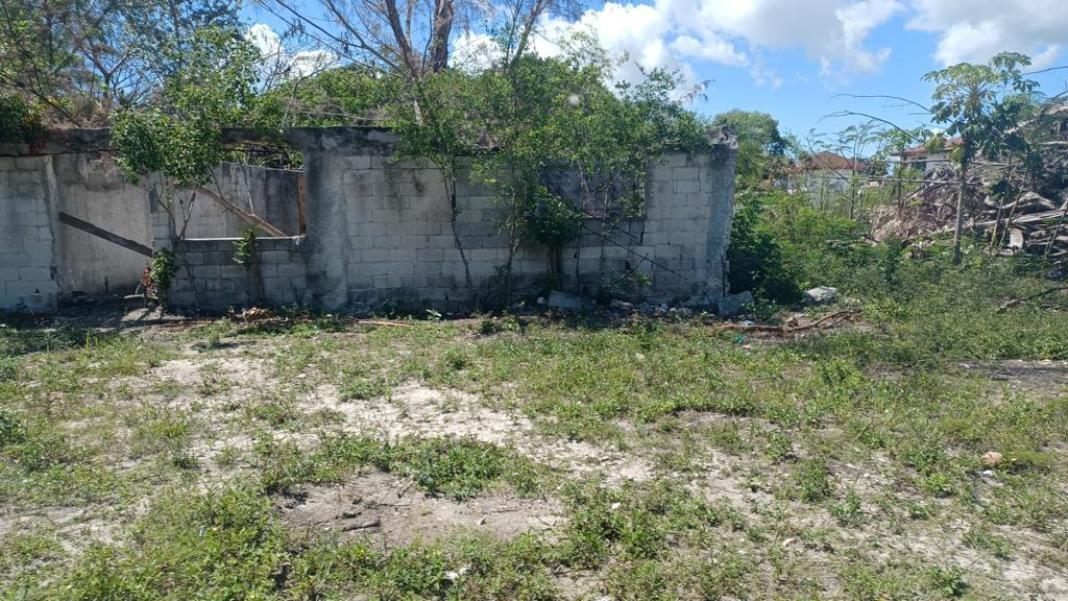 FIXER UPPER ANDROS