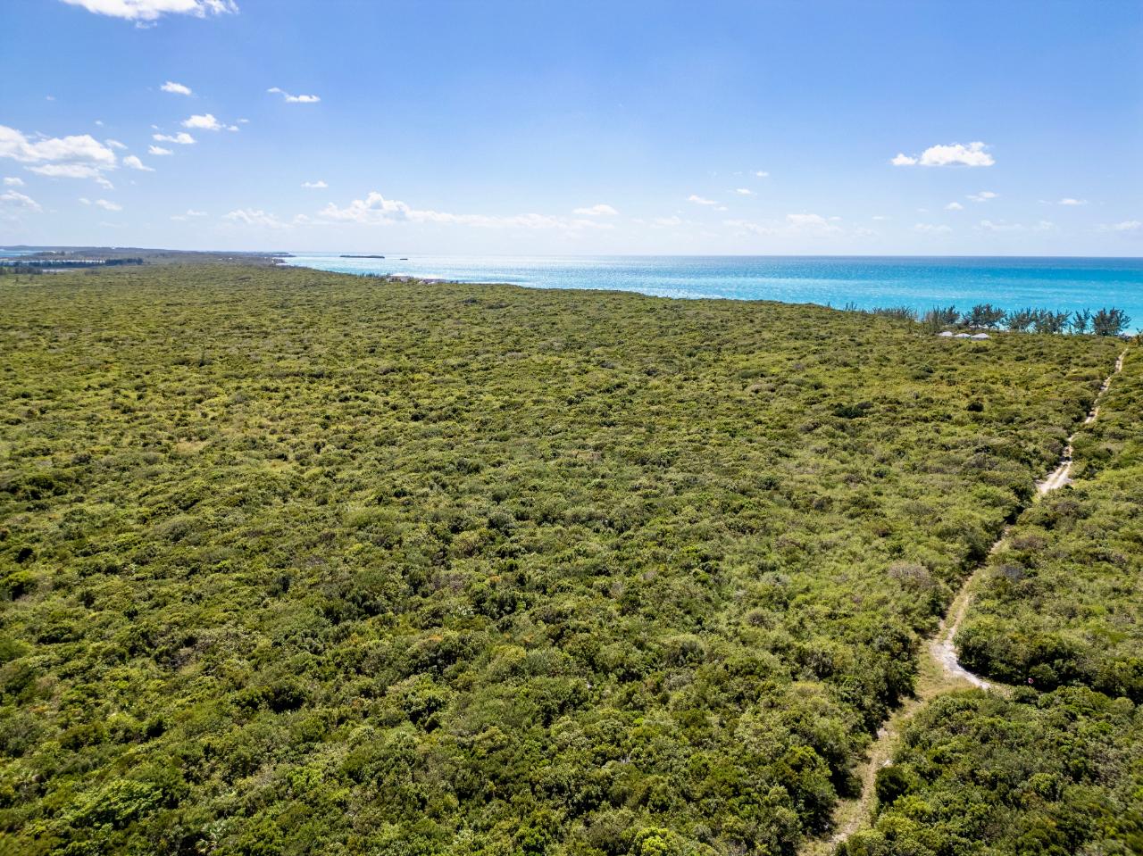 Eleuthera Acreage