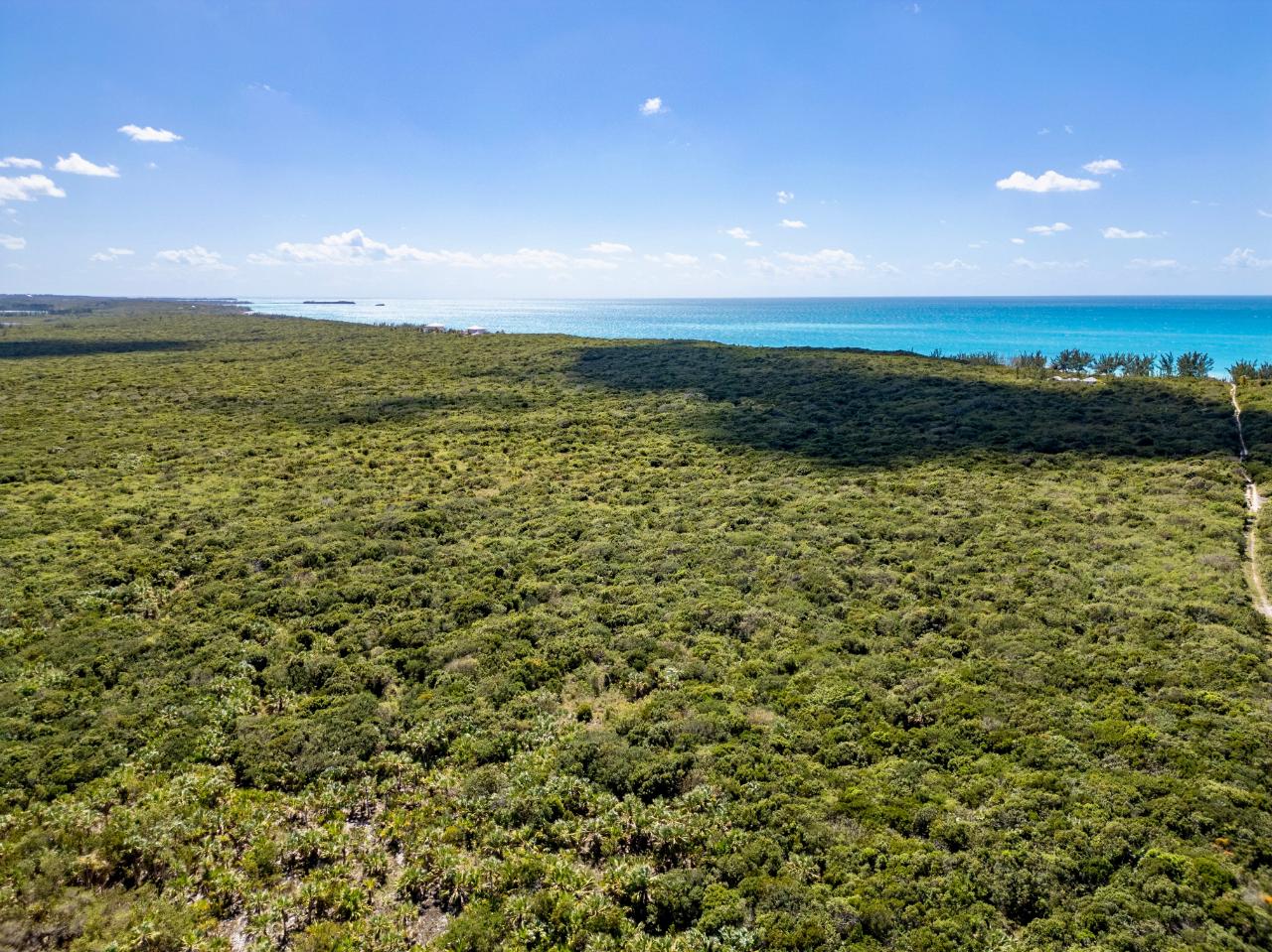 Eleuthera Acreage