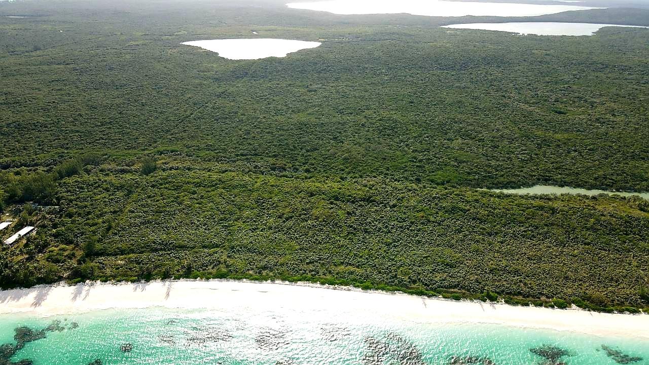 Beachfront Acreage