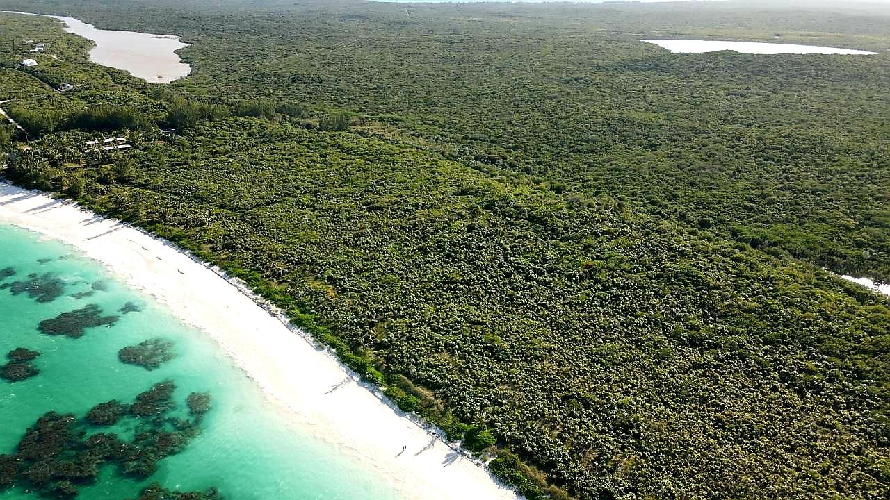 Beachfront Acreage