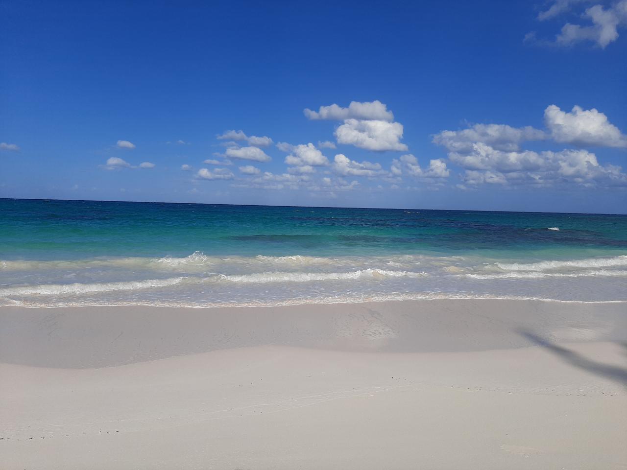 Beachfront Acreage