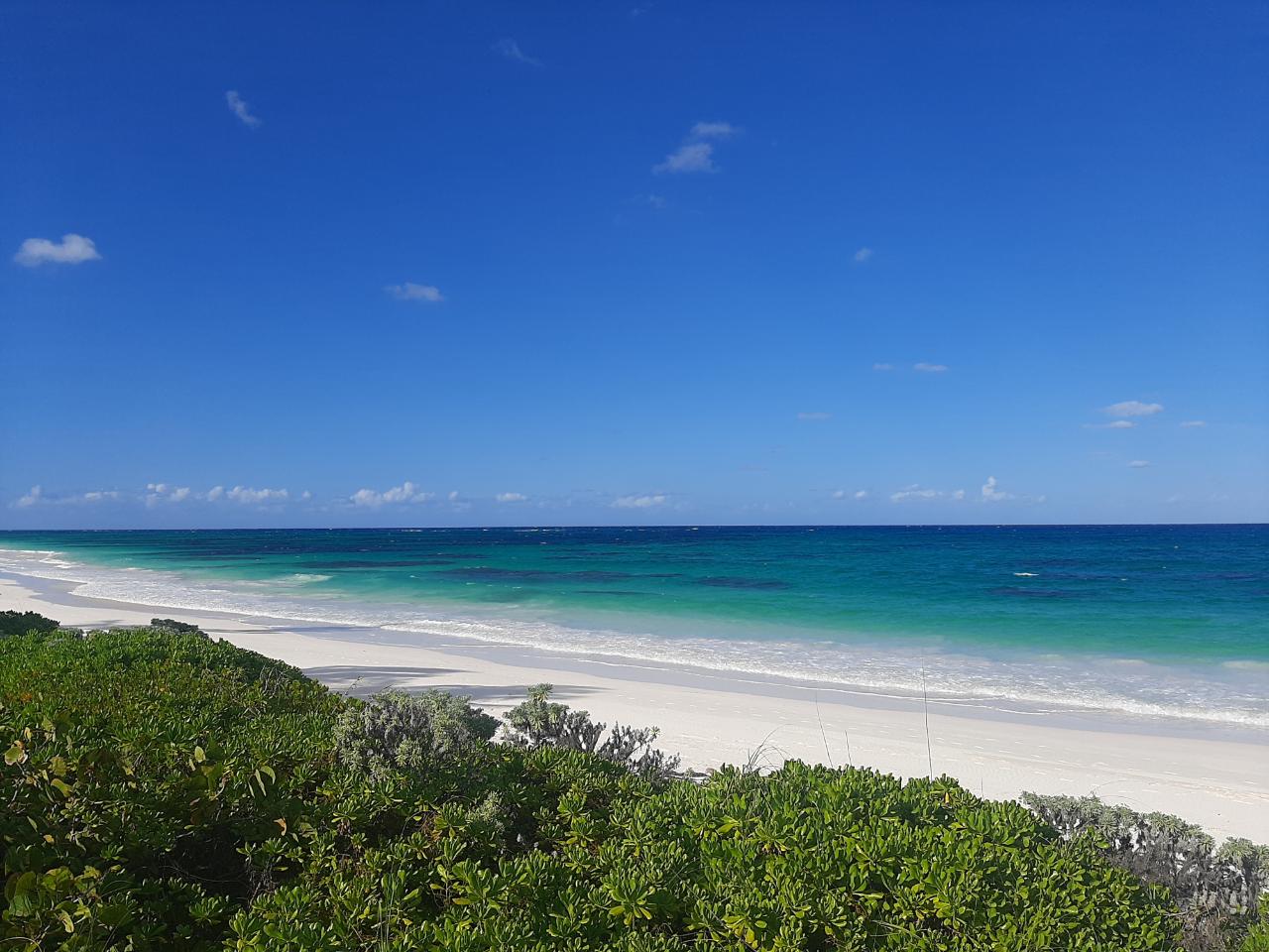 Beachfront Acreage
