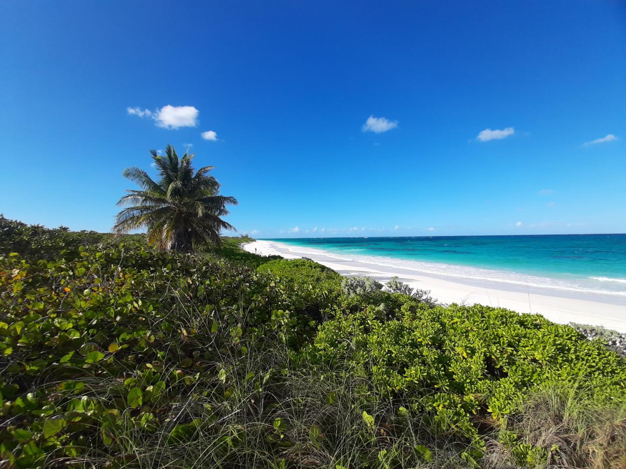 Beachfront Acreage