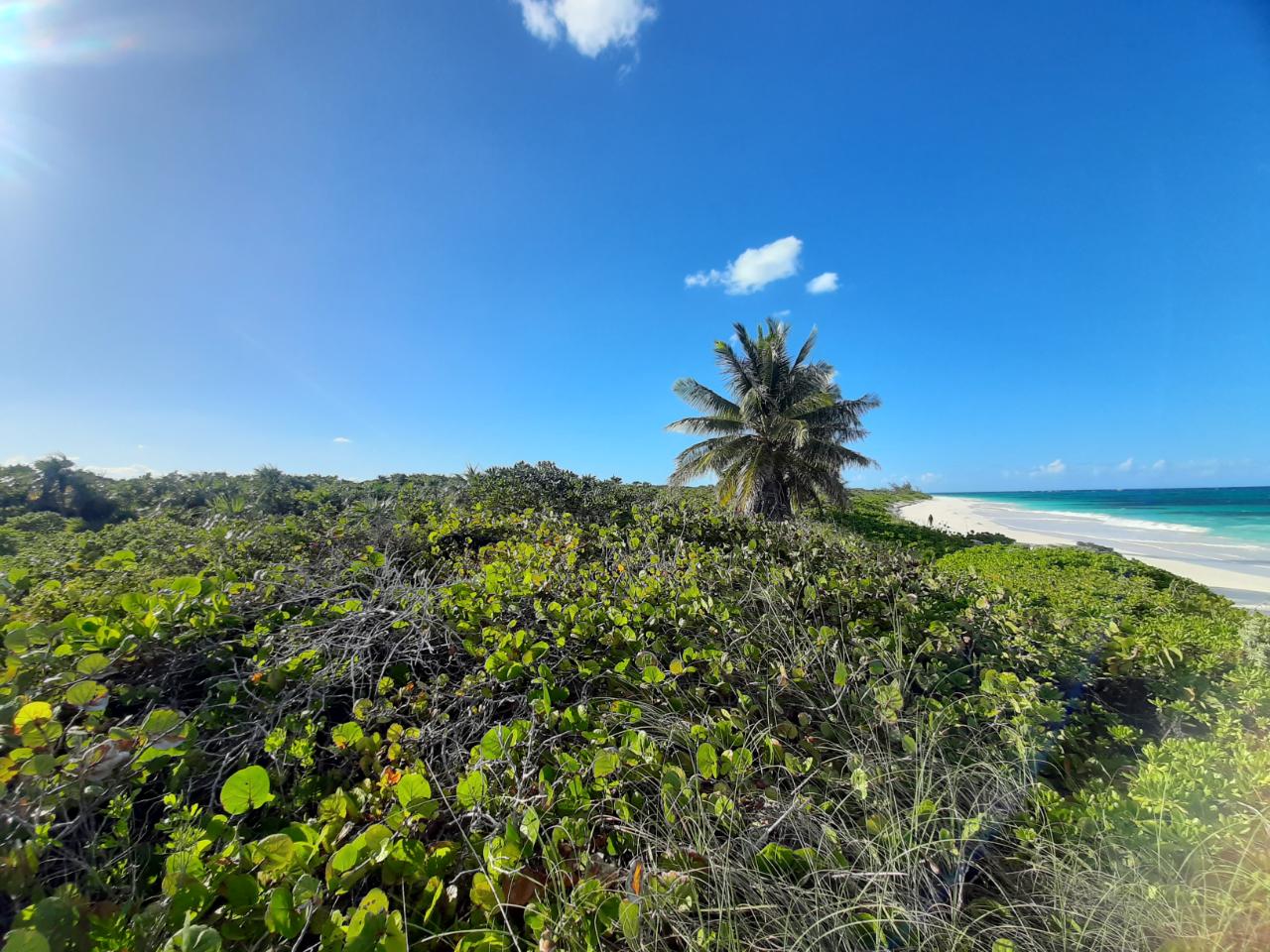Beachfront Acreage