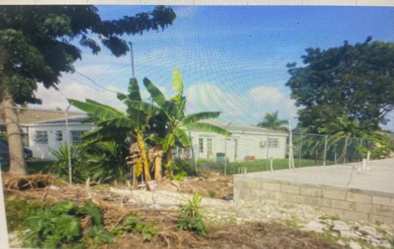 CROWN GRANT LOT 2 & 4