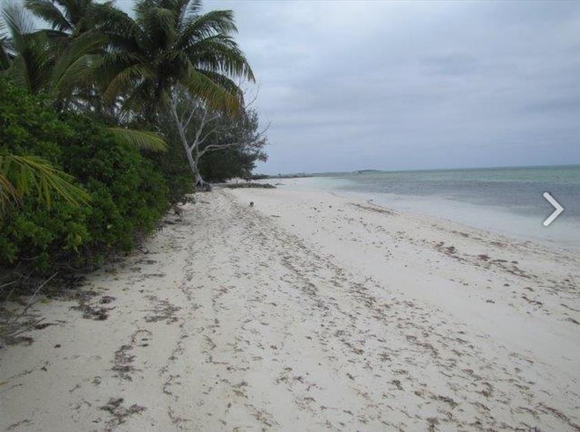 1.020 ACRES MANGROVE CAY