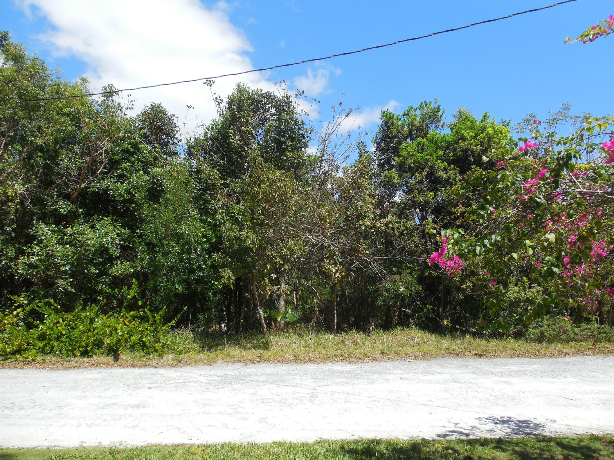 BAHAMA PALM SHORES
