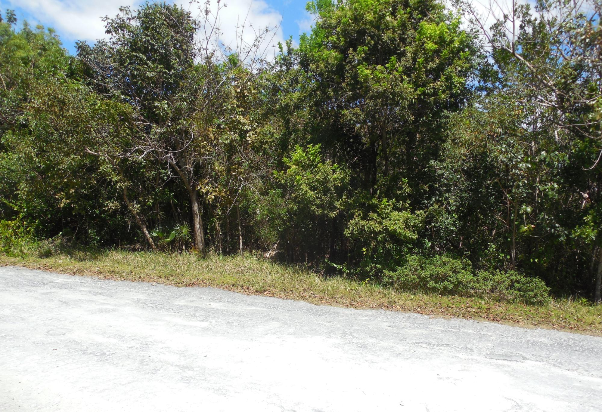 BAHAMA PALM SHORES