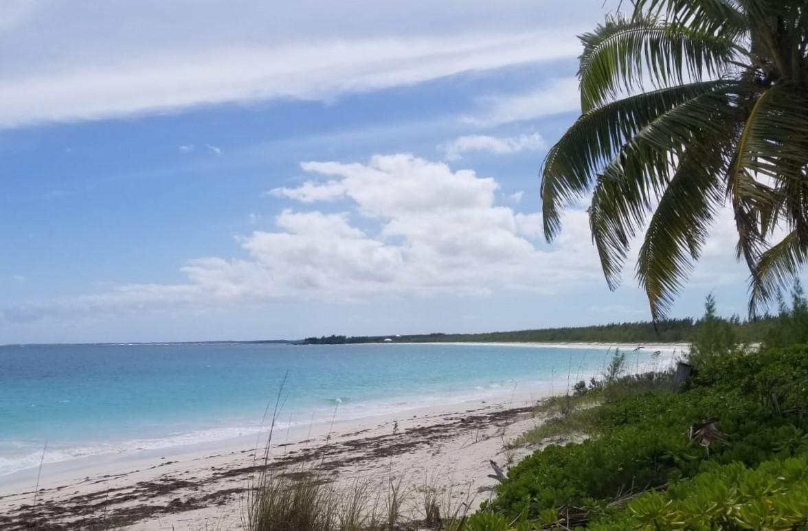 BAHAMA PALM SHORES
