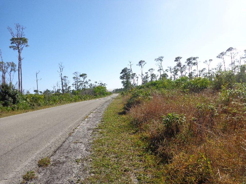 WEST BEACH DR. ARDEN FORE