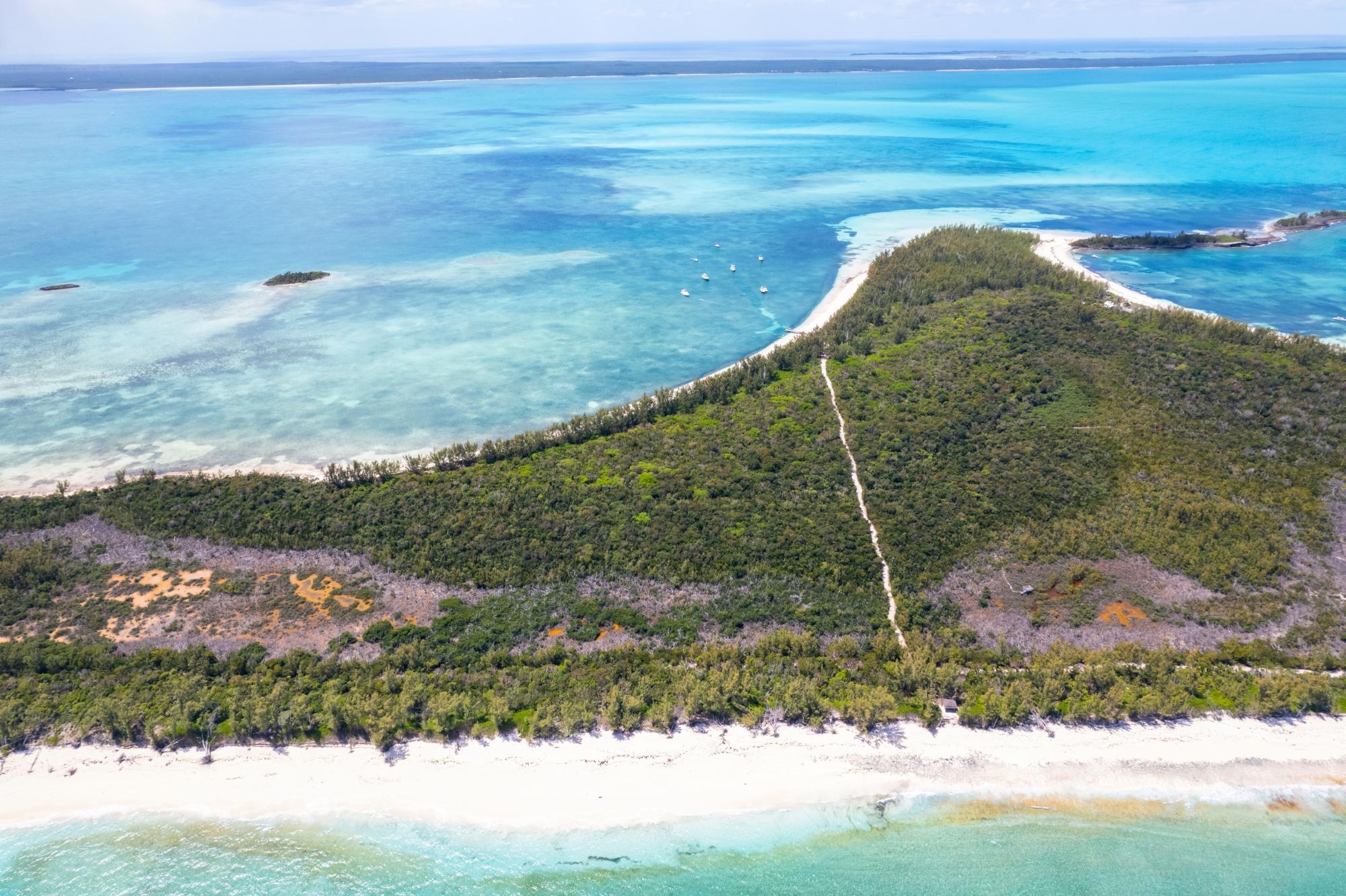 MANJACK 11.5 ACRES