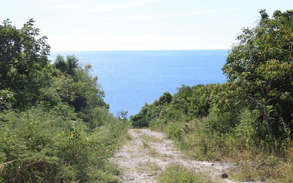 ELEUTHERA ISLAND SHORES