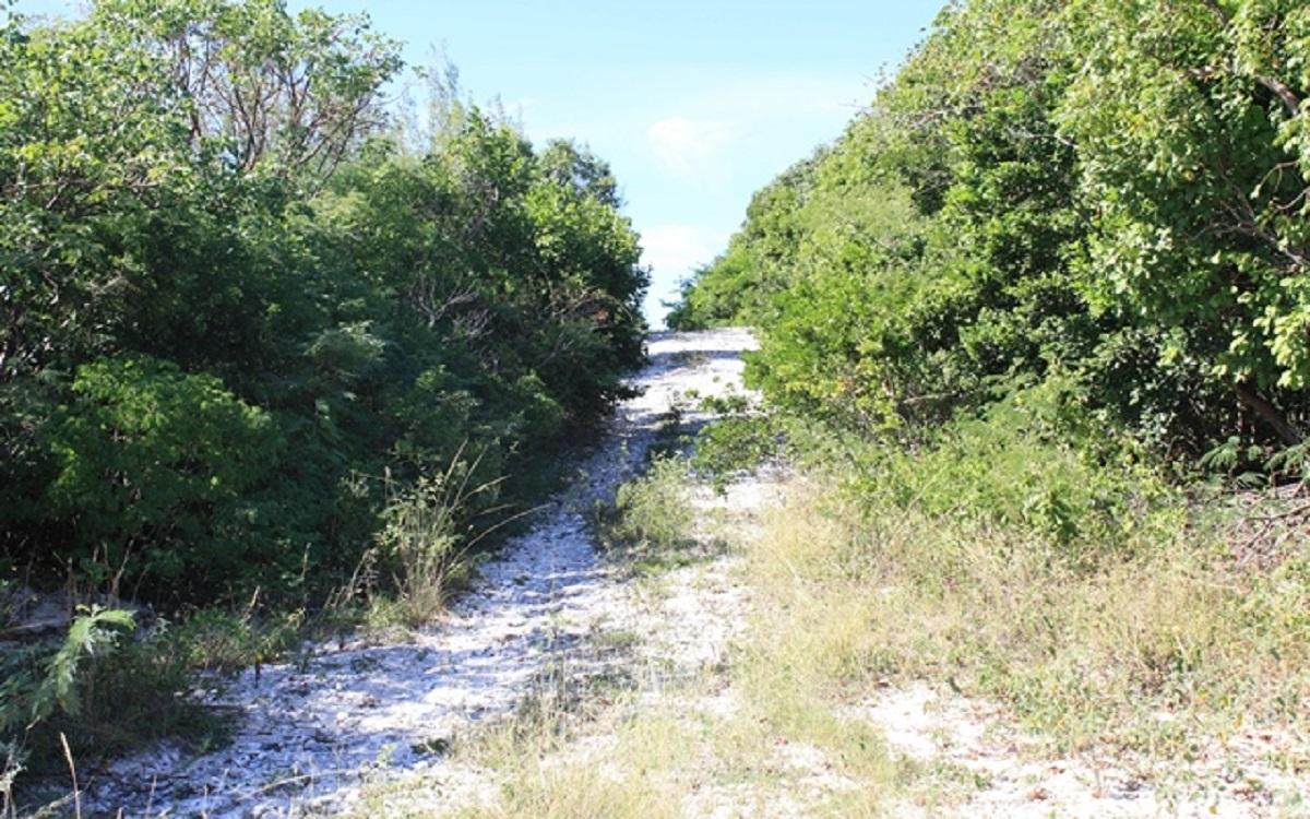 ELEUTHERA ISLAND SHORES