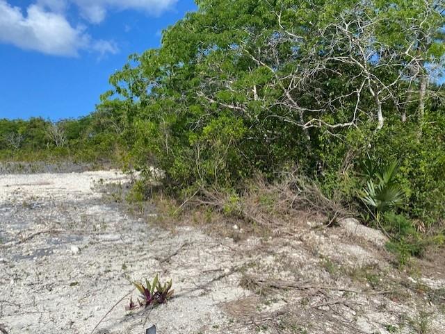 ORANGE CREEK, CAT ISLAND