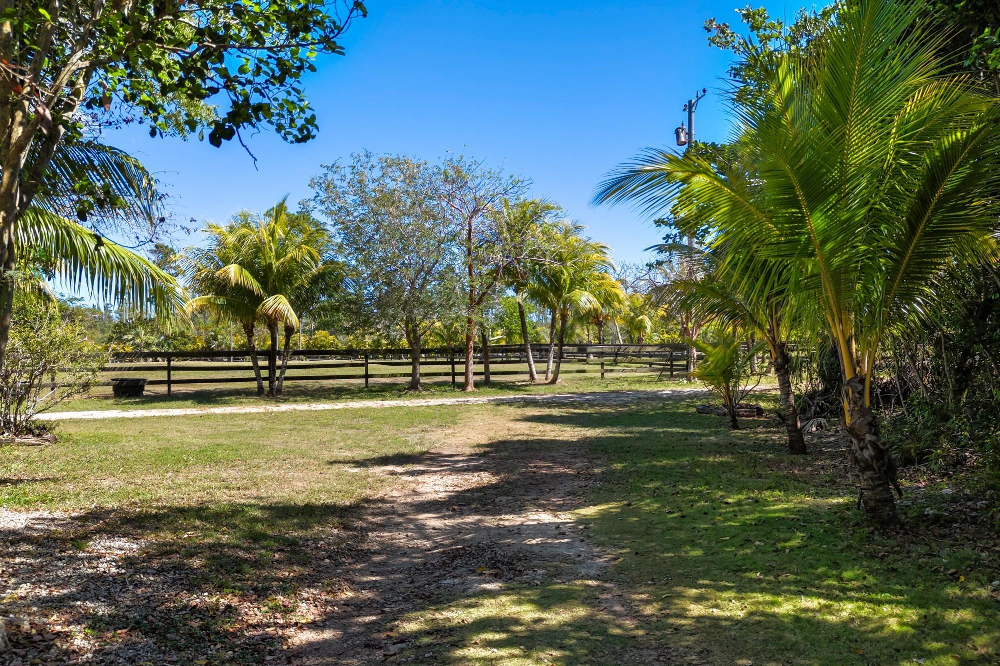 HIBISCUS HILL FARMS