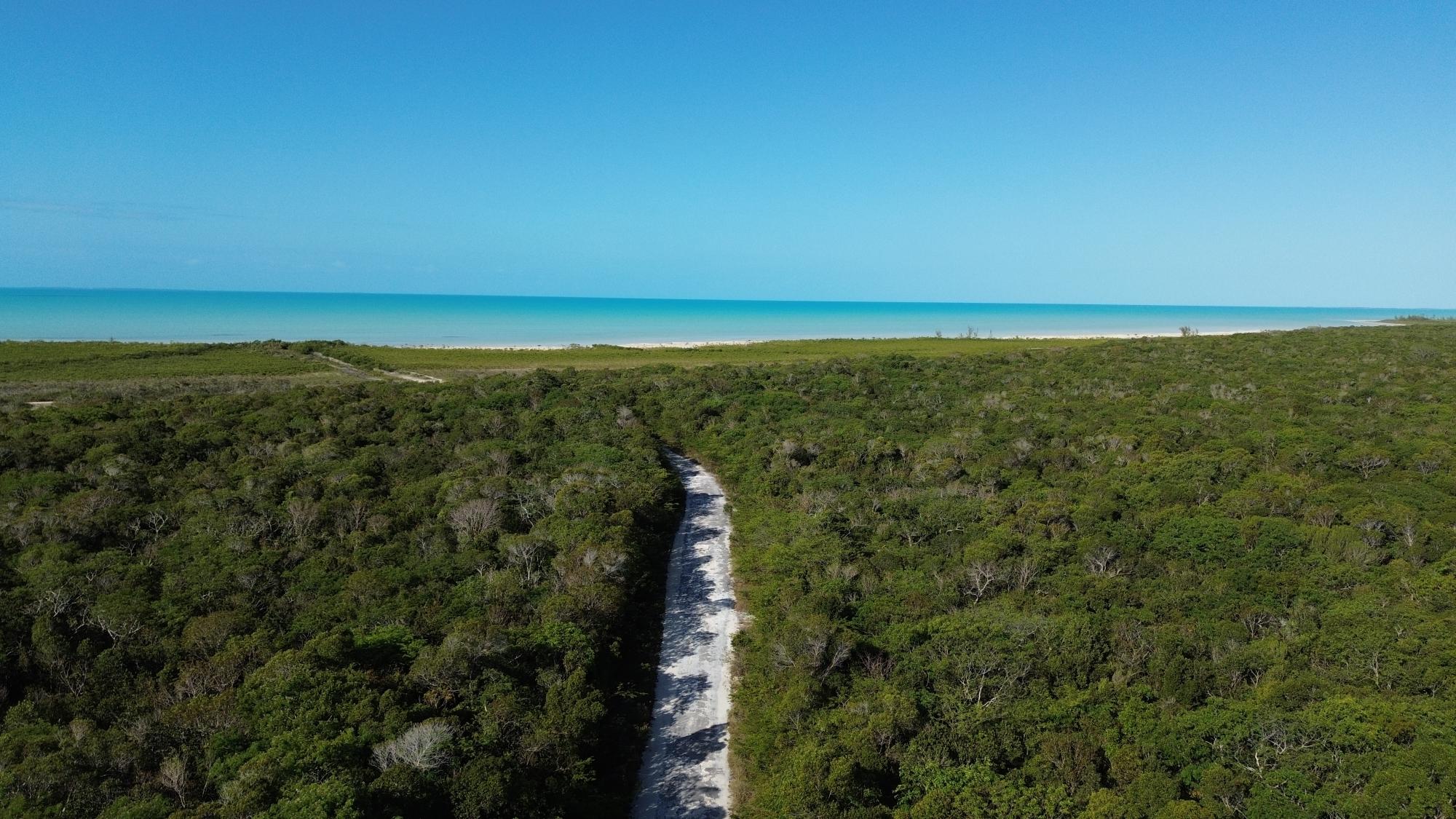 BAHAMA SOUND