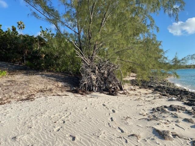 GRAPE POINT, CAT ISLAND