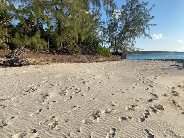 GRAPE POINT, CAT ISLAND