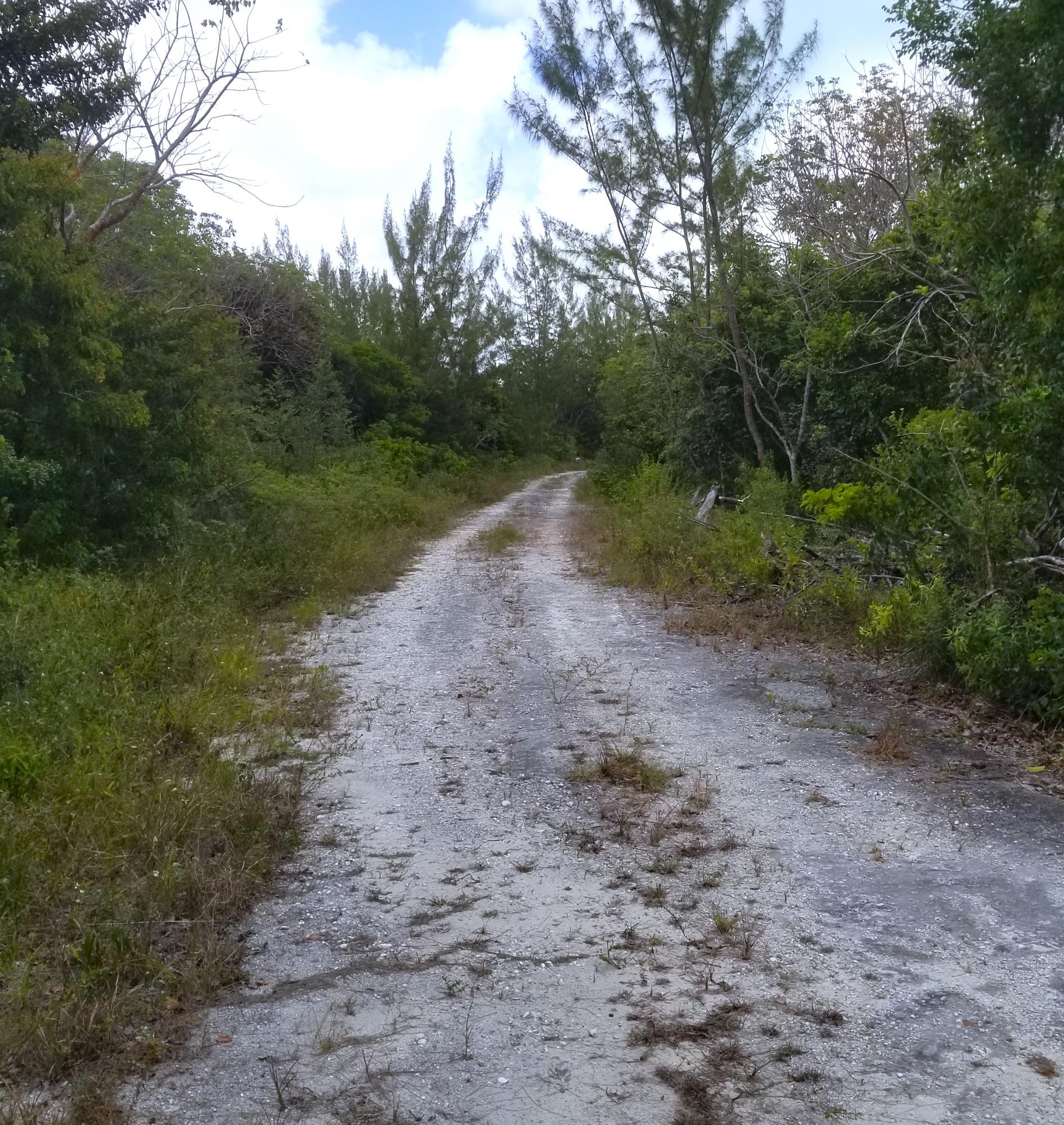 BAHAMA PALM SHORES