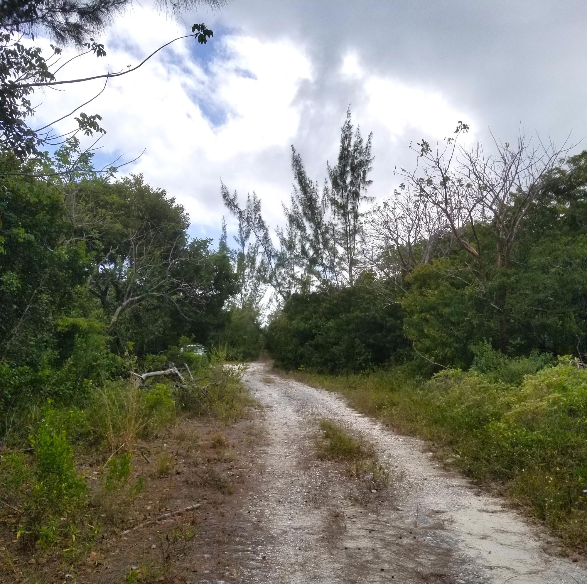 BAHAMA PALM SHORES