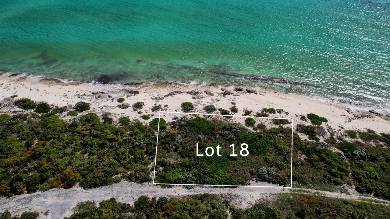 Lot #18