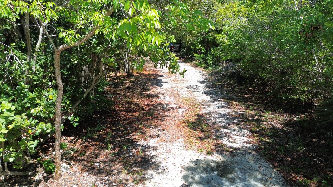 ELEUTHERA ISLAND SHORES