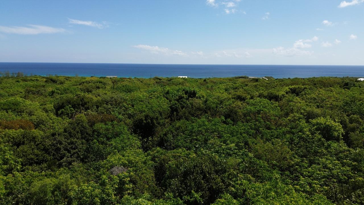 ELEUTHERA ISLAND SHORES