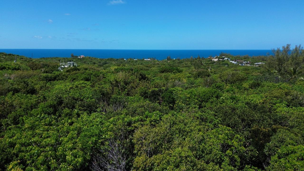 ELEUTHERA ISLAND SHORES