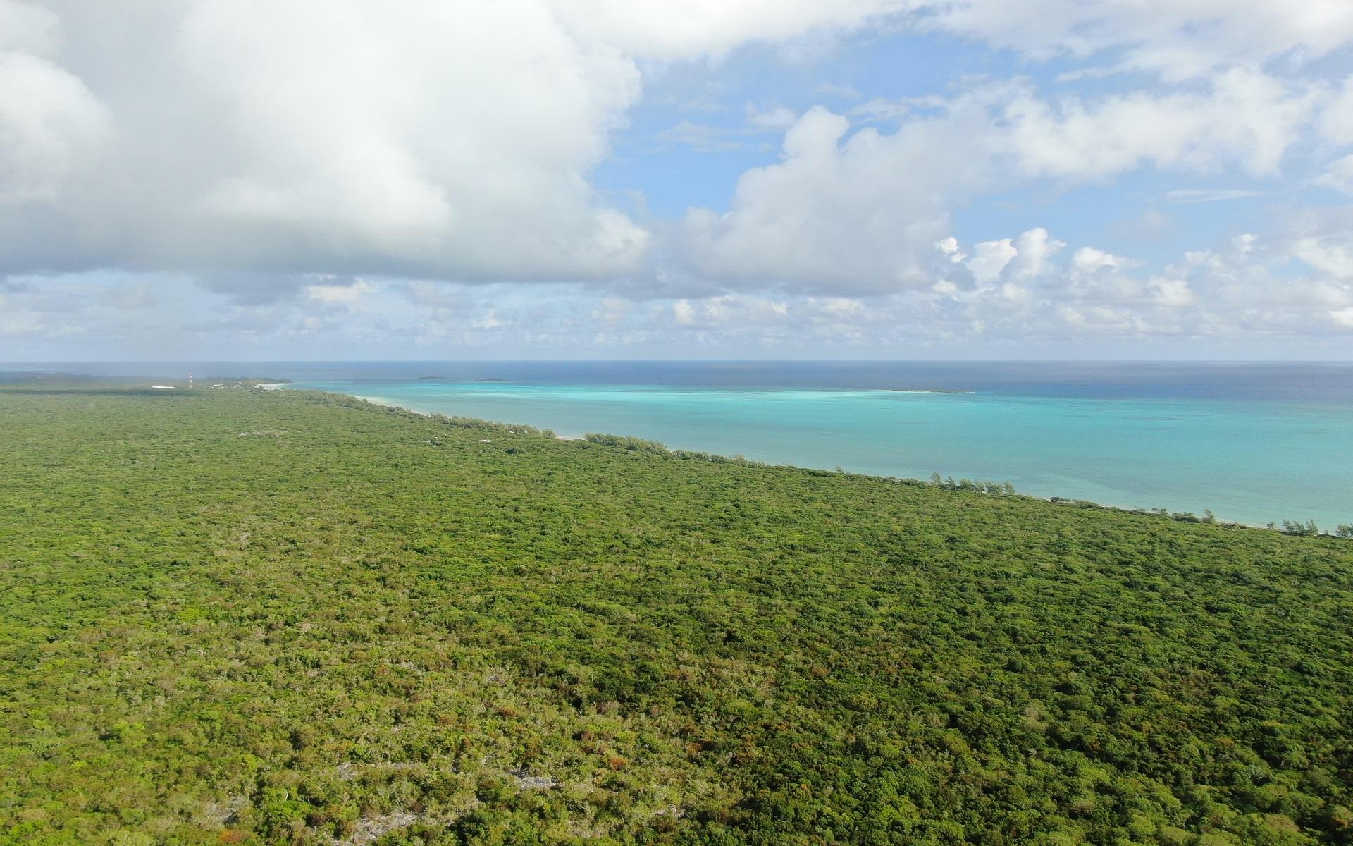 SOUTH ANDROS, WATERFRONT