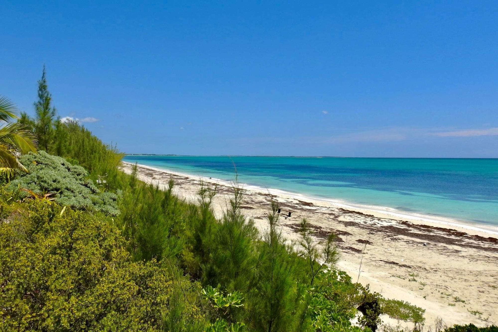 BAHAMA PALM SHORES